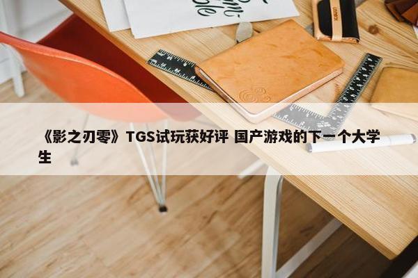 《影之刃零》TGS试玩获好评 国产游戏的下一个大学生