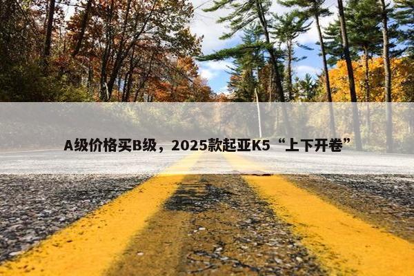 A级价格买B级，2025款起亚K5“上下开卷”