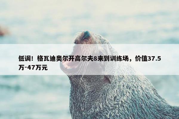 低调！格瓦迪奥尔开高尔夫8来到训练场，价值37.5万-47万元