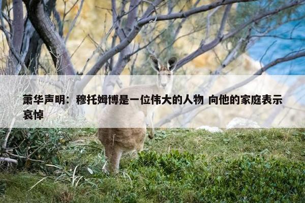 萧华声明：穆托姆博是一位伟大的人物 向他的家庭表示哀悼