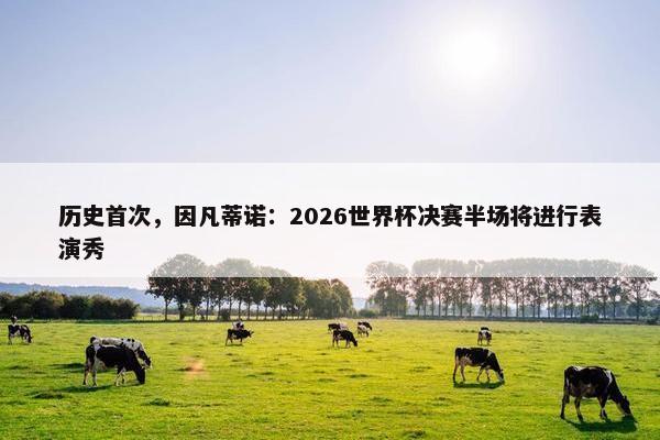 历史首次，因凡蒂诺：2026世界杯决赛半场将进行表演秀