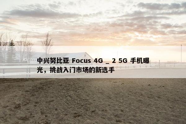 中兴努比亚 Focus 4G _ 2 5G 手机曝光，挑战入门市场的新选手