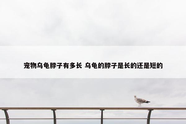 宠物乌龟脖子有多长 乌龟的脖子是长的还是短的