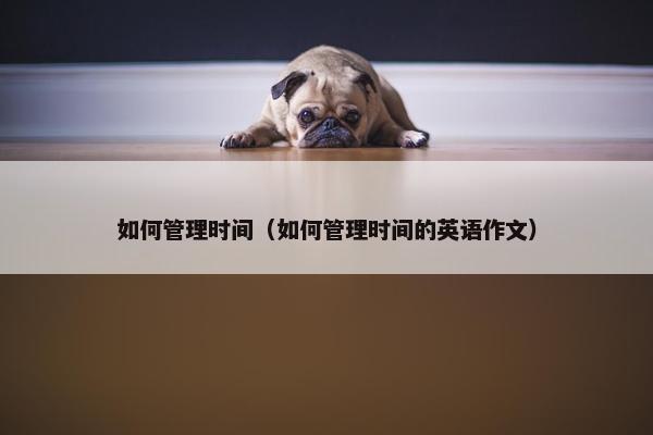 如何管理时间（如何管理时间的英语作文）