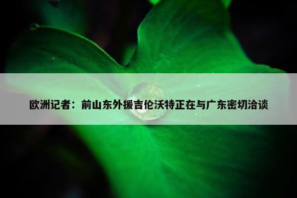 欧洲记者：前山东外援吉伦沃特正在与广东密切洽谈