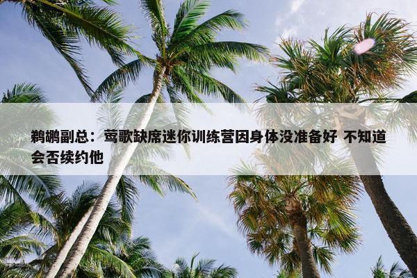 鹈鹕副总：莺歌缺席迷你训练营因身体没准备好 不知道会否续约他