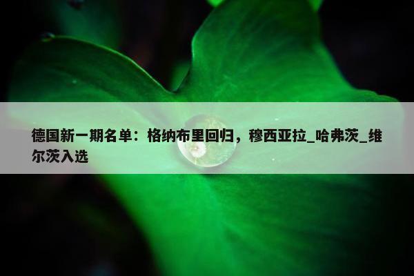 德国新一期名单：格纳布里回归，穆西亚拉_哈弗茨_维尔茨入选