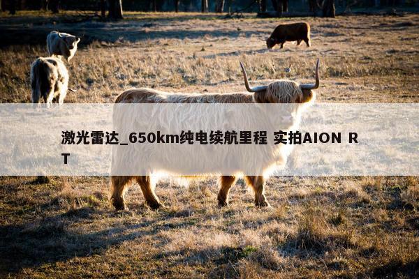 激光雷达_650km纯电续航里程 实拍AION RT