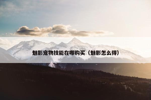 魅影宠物技能在哪购买（魅影怎么得）