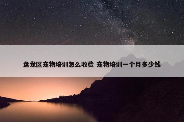 盘龙区宠物培训怎么收费 宠物培训一个月多少钱