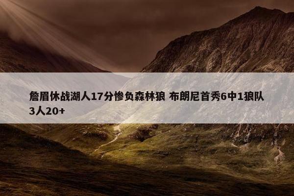 詹眉休战湖人17分惨负森林狼 布朗尼首秀6中1狼队3人20+