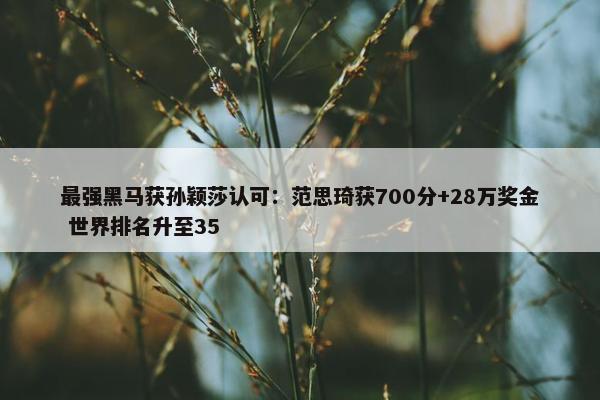 最强黑马获孙颖莎认可：范思琦获700分+28万奖金 世界排名升至35