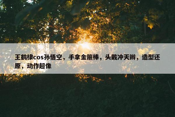 王鹤棣cos孙悟空，手拿金箍棒，头戴冲天辫，造型还原，动作超像