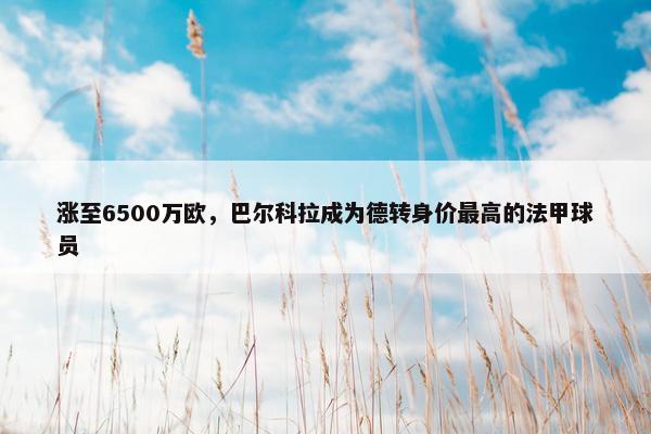 涨至6500万欧，巴尔科拉成为德转身价最高的法甲球员