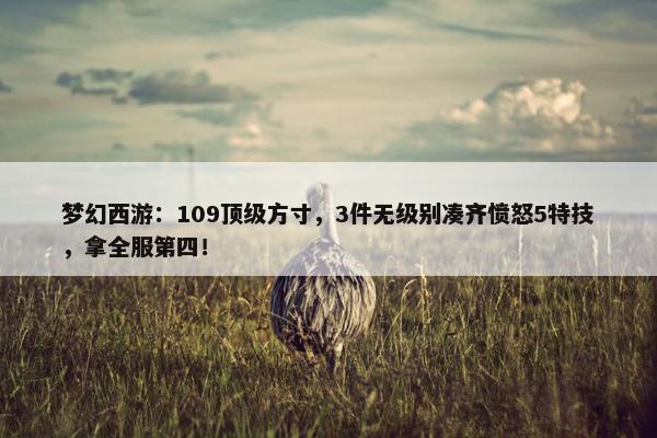 梦幻西游：109顶级方寸，3件无级别凑齐愤怒5特技，拿全服第四！