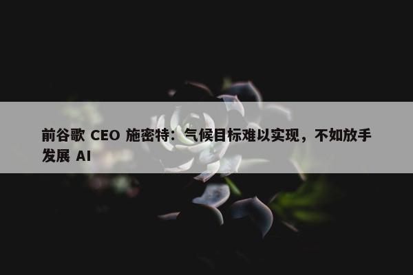 前谷歌 CEO 施密特：气候目标难以实现，不如放手发展 AI