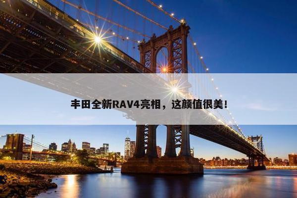 丰田全新RAV4亮相，这颜值很美！