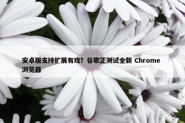 安卓版支持扩展有戏？谷歌正测试全新 Chrome 浏览器