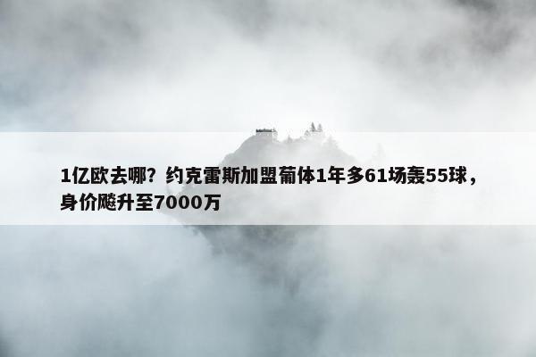 1亿欧去哪？约克雷斯加盟葡体1年多61场轰55球，身价飚升至7000万