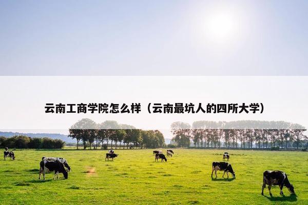 云南工商学院怎么样（云南最坑人的四所大学）