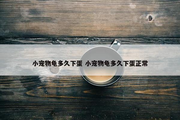 小宠物龟多久下蛋 小宠物龟多久下蛋正常