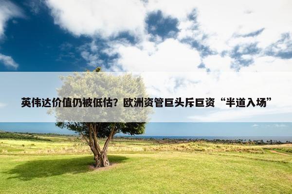 英伟达价值仍被低估？欧洲资管巨头斥巨资“半道入场”