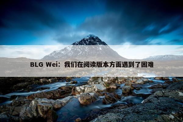 BLG Wei：我们在阅读版本方面遇到了困难