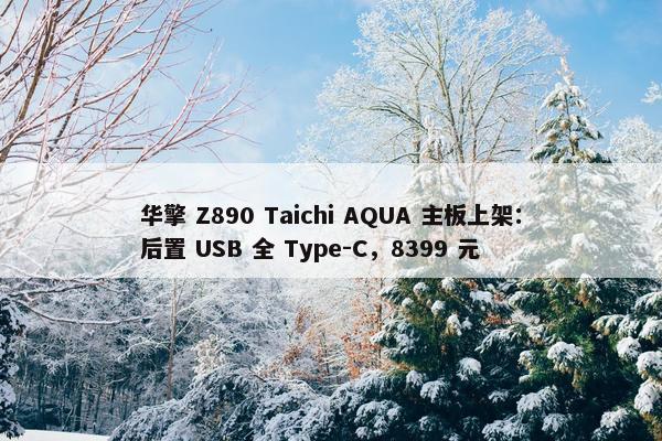 华擎 Z890 Taichi AQUA 主板上架：后置 USB 全 Type-C，8399 元