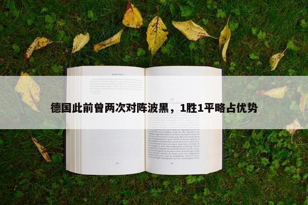 德国此前曾两次对阵波黑，1胜1平略占优势