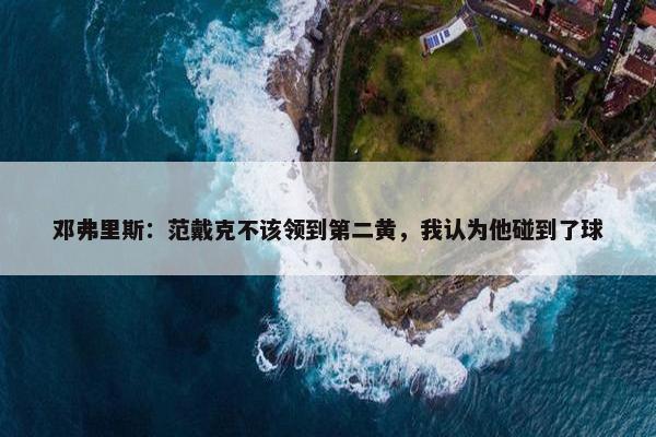 邓弗里斯：范戴克不该领到第二黄，我认为他碰到了球