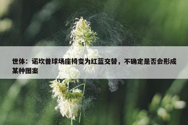 世体：诺坎普球场座椅变为红蓝交替，不确定是否会形成某种图案