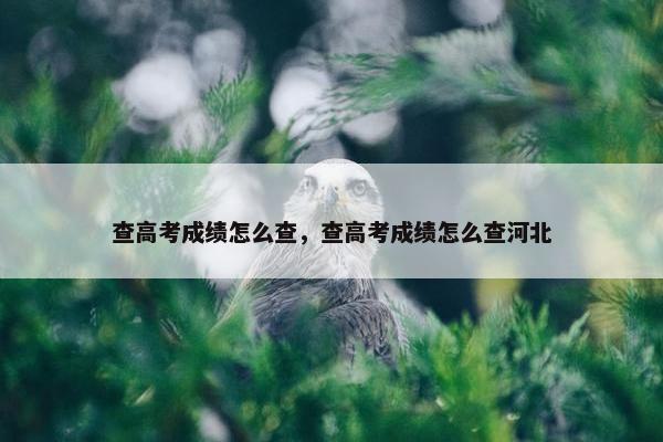 查高考成绩怎么查，查高考成绩怎么查河北