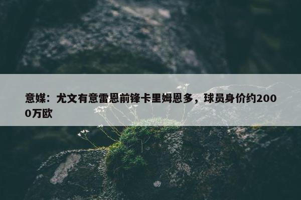 意媒：尤文有意雷恩前锋卡里姆恩多，球员身价约2000万欧