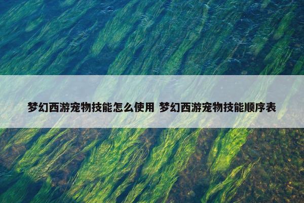 梦幻西游宠物技能怎么使用 梦幻西游宠物技能顺序表