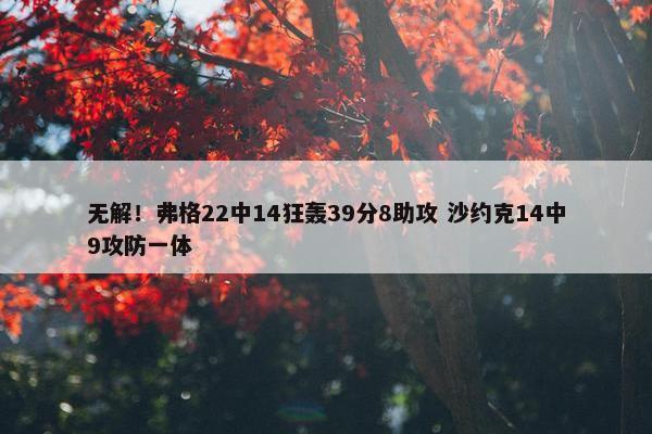 无解！弗格22中14狂轰39分8助攻 沙约克14中9攻防一体