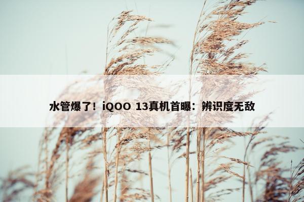 水管爆了！iQOO 13真机首曝：辨识度无敌