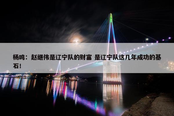 杨鸣：赵继伟是辽宁队的财富 是辽宁队这几年成功的基石！