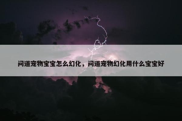 问道宠物宝宝怎么幻化，问道宠物幻化用什么宝宝好