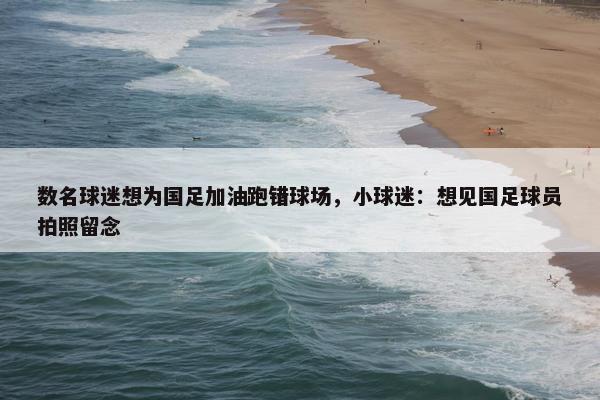 数名球迷想为国足加油跑错球场，小球迷：想见国足球员拍照留念