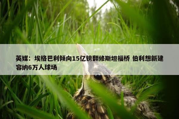 英媒：埃格巴利倾向15亿镑翻修斯坦福桥 伯利想新建容纳6万人球场