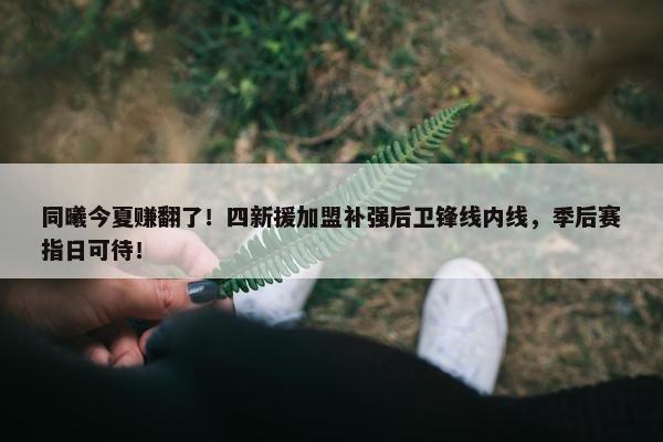 同曦今夏赚翻了！四新援加盟补强后卫锋线内线，季后赛指日可待！