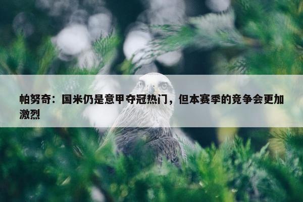 帕努奇：国米仍是意甲夺冠热门，但本赛季的竞争会更加激烈