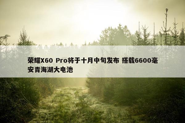 荣耀X60 Pro将于十月中旬发布 搭载6600毫安青海湖大电池