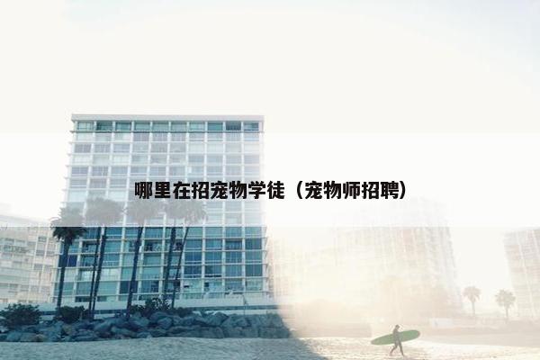 哪里在招宠物学徒（宠物师招聘）