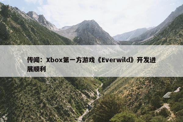 传闻：Xbox第一方游戏《Everwild》开发进展顺利