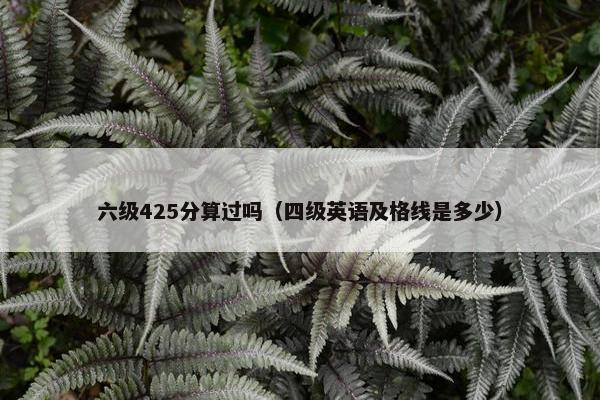 六级425分算过吗（四级英语及格线是多少）