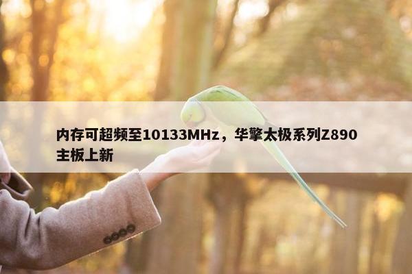 内存可超频至10133MHz，华擎太极系列Z890主板上新