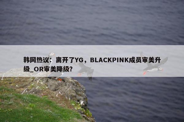 韩网热议：离开了YG，BLACKPINK成员审美升级_OR审美降级？