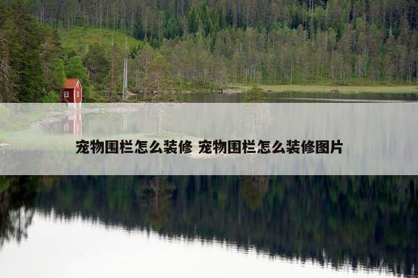 宠物围栏怎么装修 宠物围栏怎么装修图片