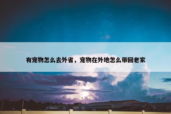 有宠物怎么去外省，宠物在外地怎么带回老家